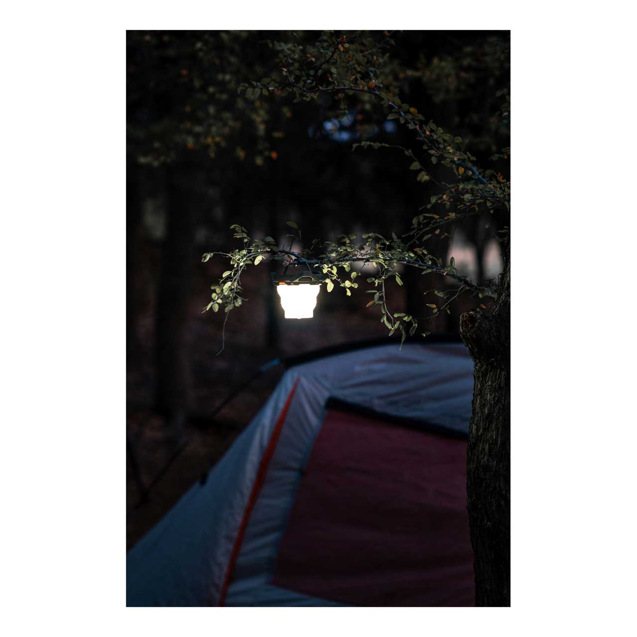 NEBO Laterne GALILEO AIR 1000